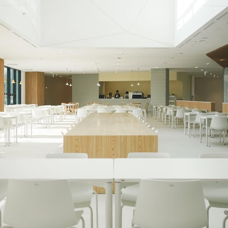 School choices for expat families in Madrid, Spain